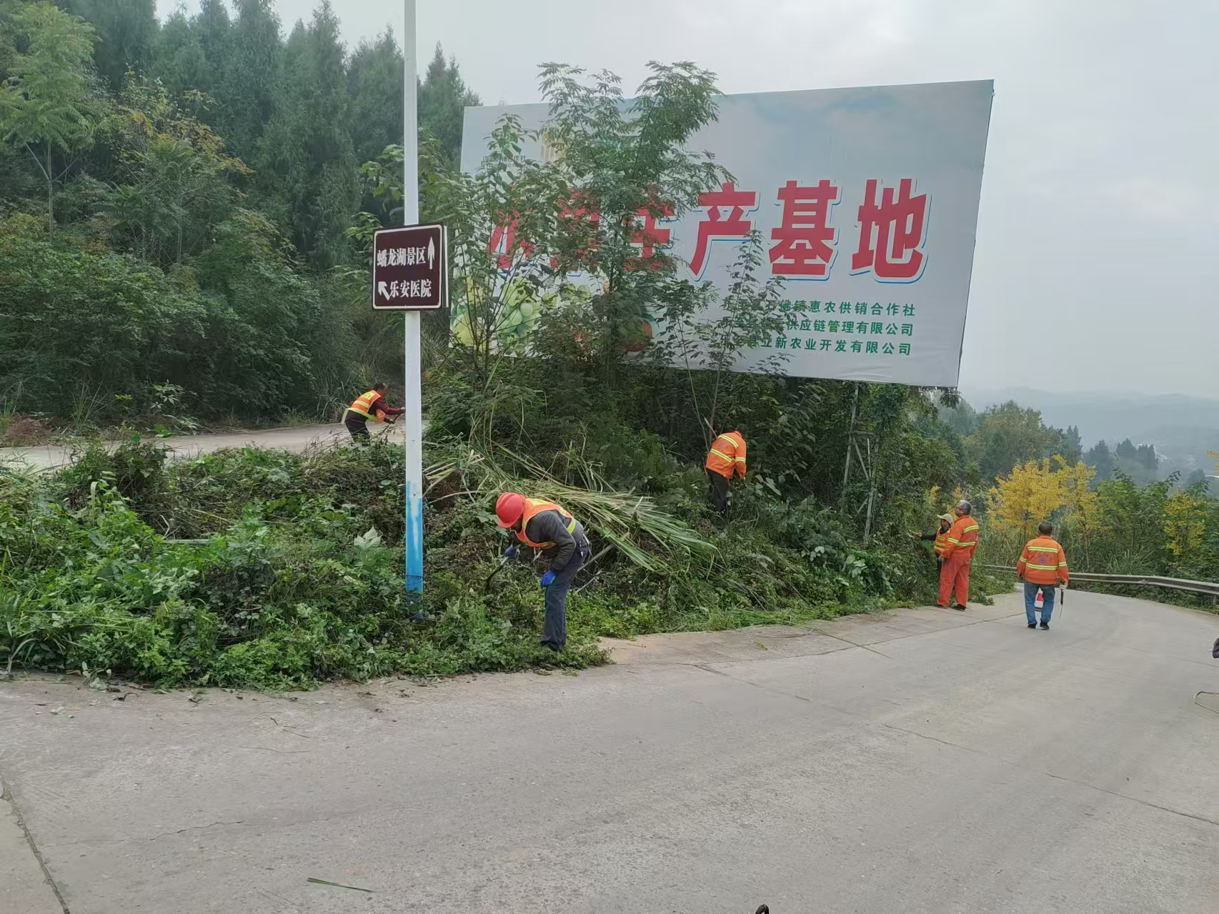 图片3