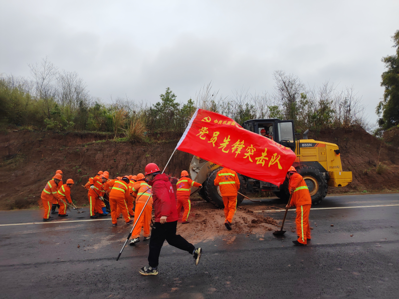 图片4
